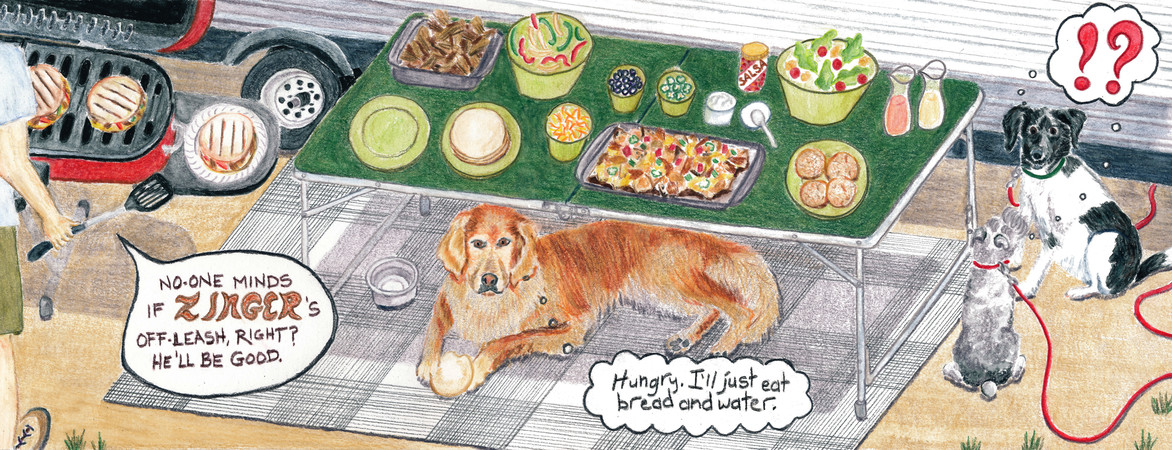 Zinger's Picnic At Kneff Lake by Gina M. Brown