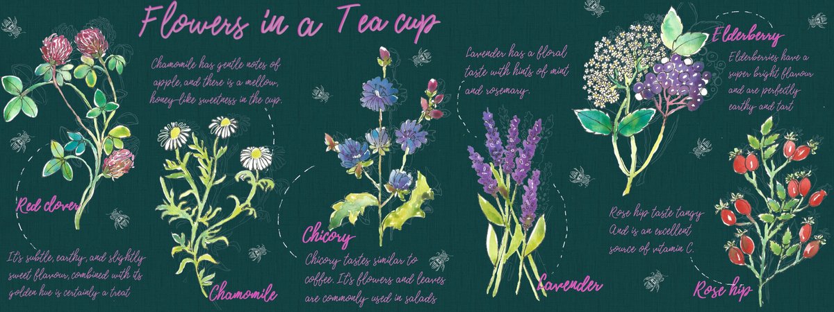 Flowers in a Tea Cup by Art by Ashlesha