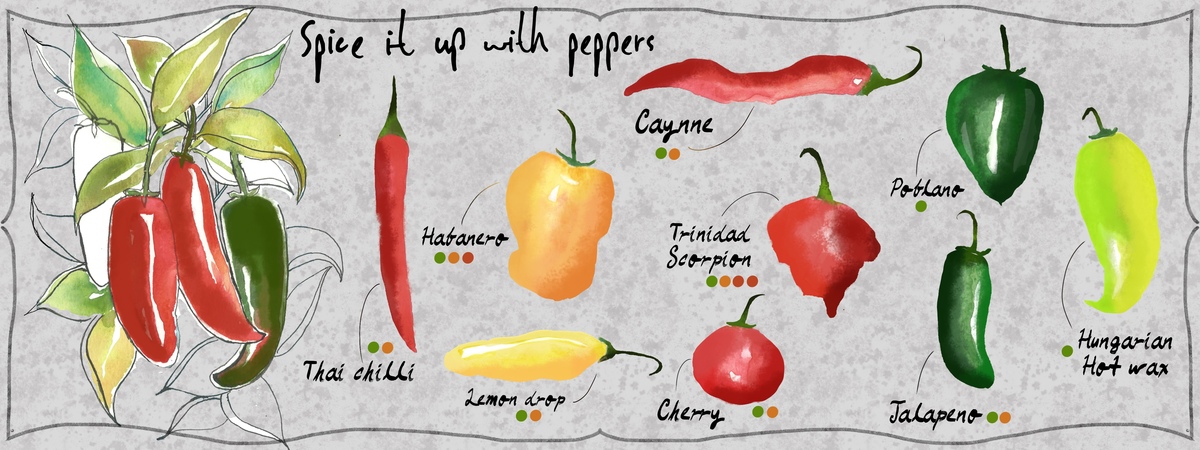 Spice it up with peppers by Art by Ashlesha