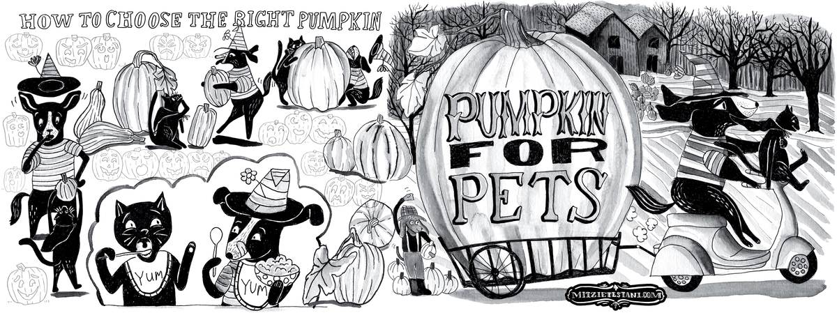Pumpkin For Pets by Mitzie Testani