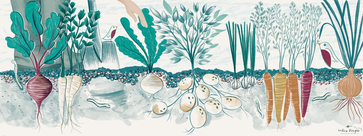 Rooting for Veg! by Indico Designs