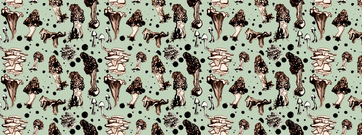 Edible Mushroom Forage by Joleanna Designs
