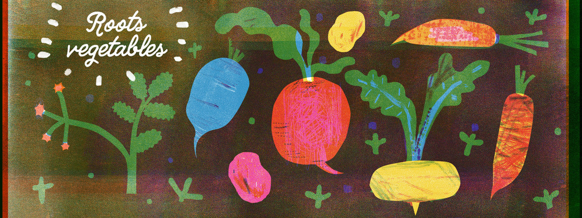 Roots vegetables by aigyl nigmetova