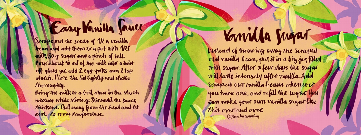 Home made Vanilla Sauce and Vanilla Sugar by Cornelia Duemling