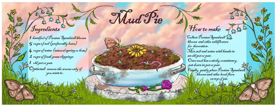 Mud Pie by Charlie :)