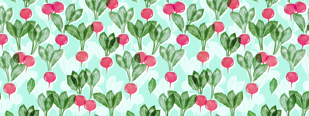 Radishes by Honey Gherkin