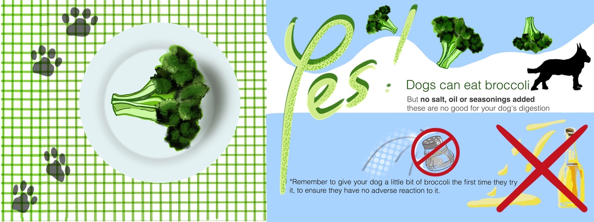 Broccoli for dogs! by Dibugago