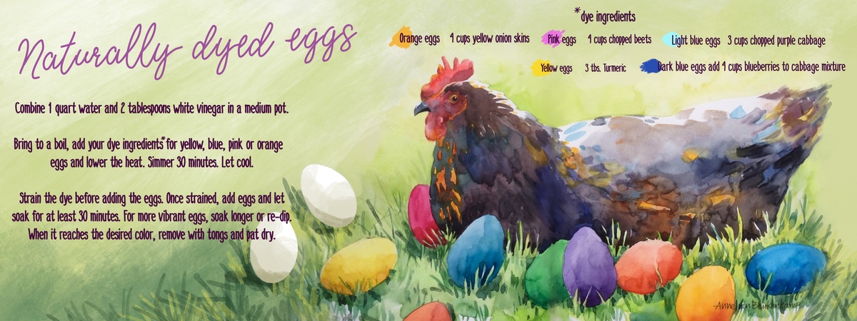 Naturally dyed eggs by Annelein Beukenkamp