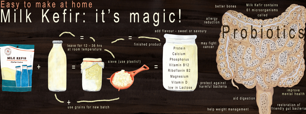 Magical Milk Kefir by Karen Cotting