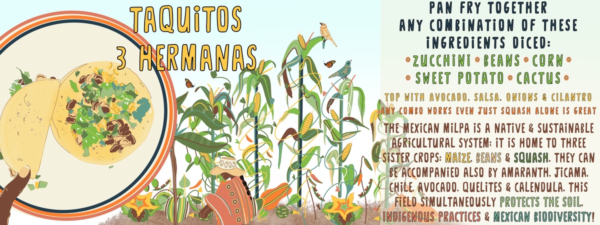 Taquitos “3 Hermanas”: My Happy Meal by Alexandra Bledsoe