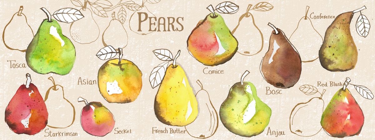 Pears by Art by Ashlesha