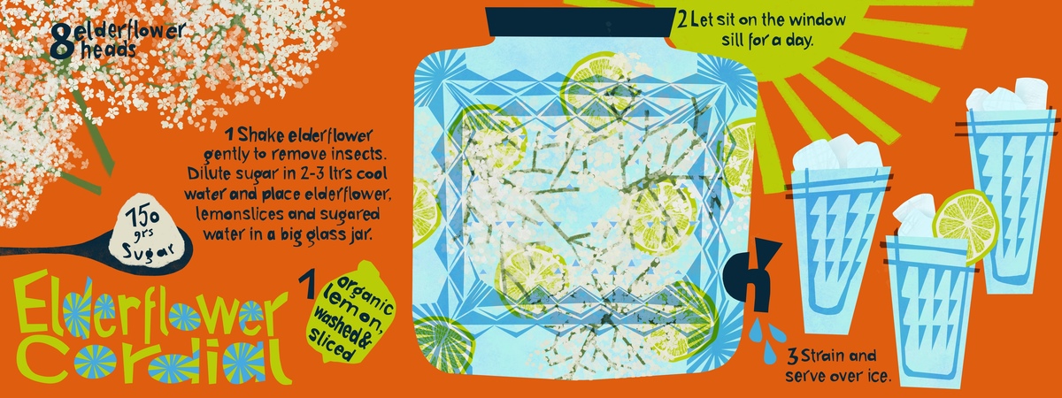Elderflower Cordial by Cornelia Duemling