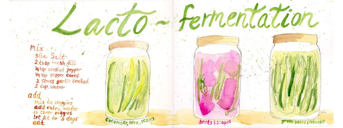 Lacto-Fermentation (Pickling) by Char Char