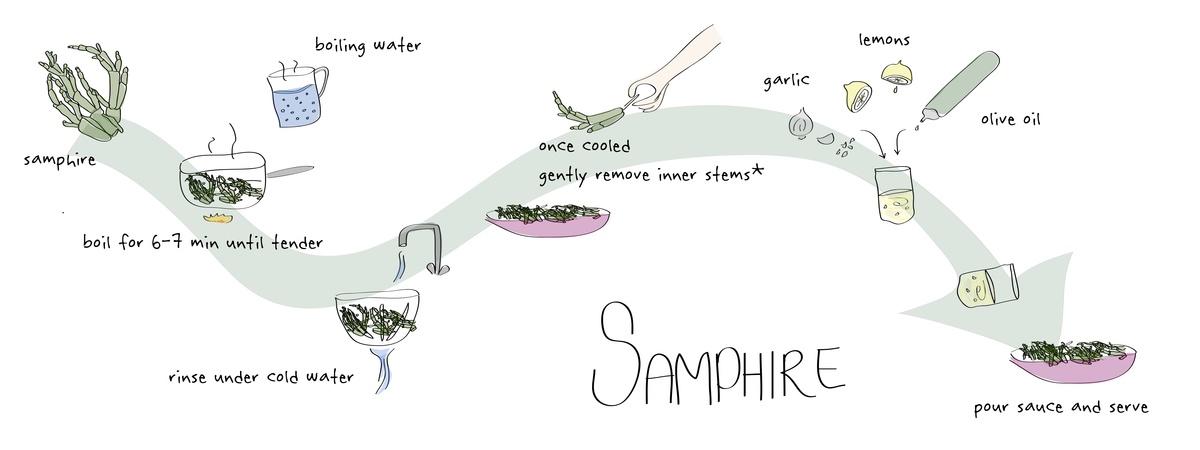 Samphire by Sinem Erdemli