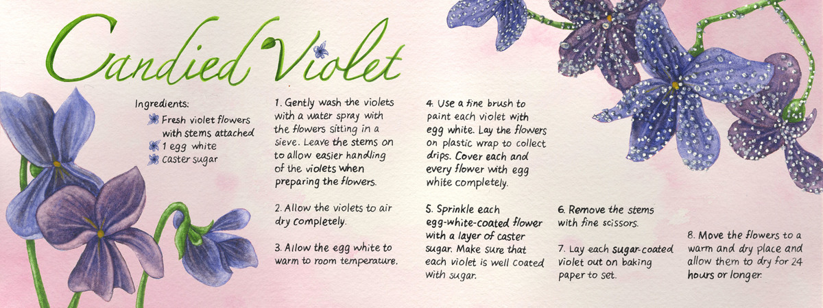 Candied Violet by Jessie Wei-Hsuan Chen