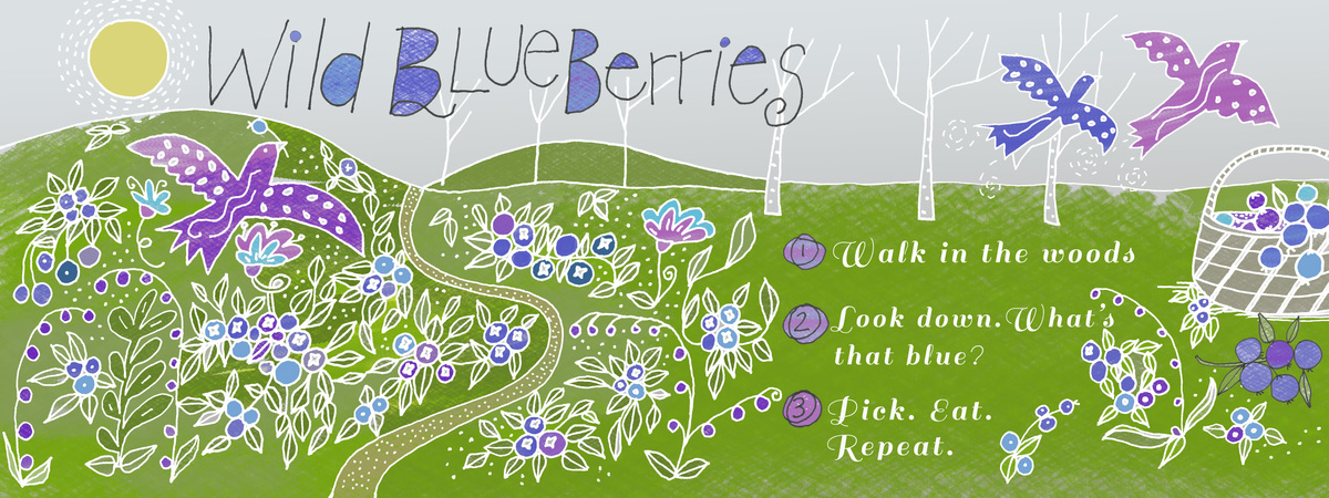 Wild Blueberries by Brooke Albrecht