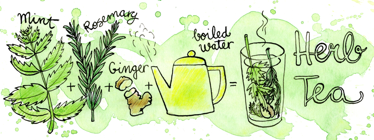 Herb Tea by Koosje Koene