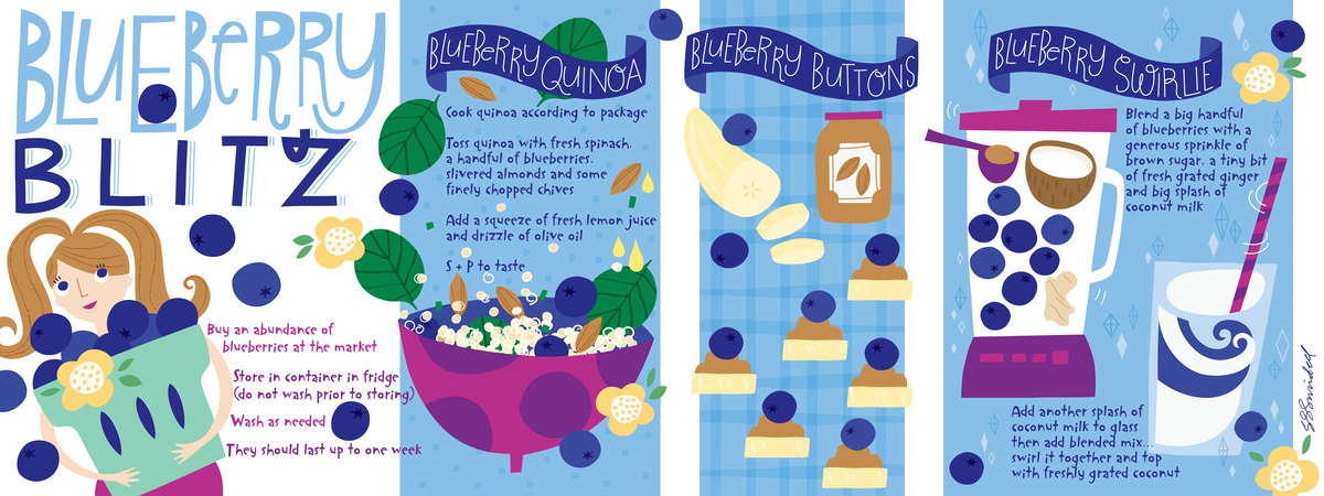 Blueberry Blitz by Salli S. Swindell