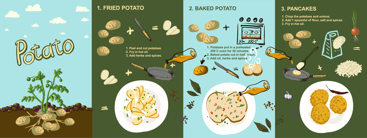 Potato by Olga Berlet