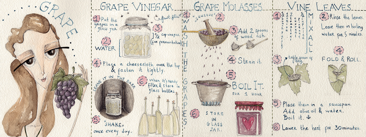 Grape by Ezgi Ozcan
