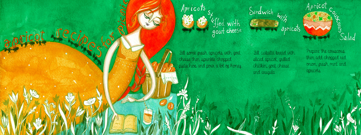 Apricot Recipes for Picnic by Plantus Marina Apricot recipes for picnic ilustratie