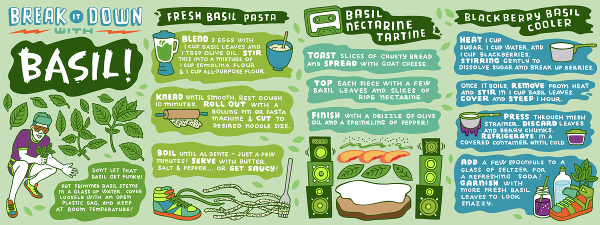 Triple Basil Breakdown! by Betty Turbo