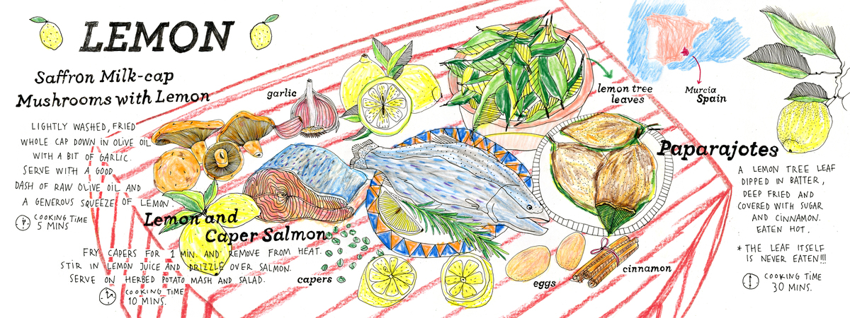 Limón is Lemon in Spanish by Elena Ortiz
