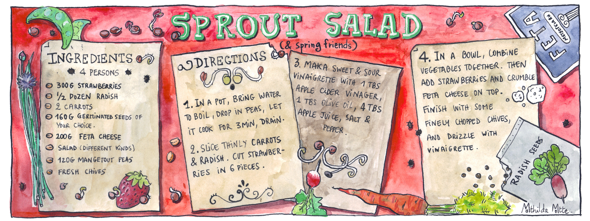 Sprout Salad by mathilda Motte Sprout salad illu cookanddraw copie
