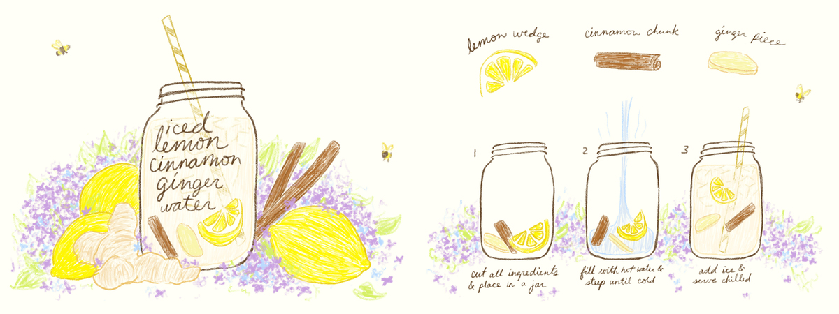 Iced Lemon Cinnamon Ginger Water by Ashleigh Green