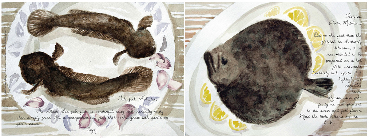 Black Sea fish recommendations by Daniela Gheorghiu