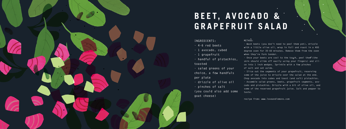 Beet, Avocado and Grapefruit Salad by Lotte Dirks