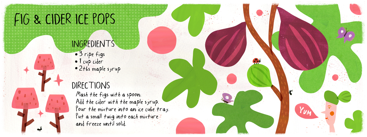 Fig & Cider Ice Pops by AW Illustrations