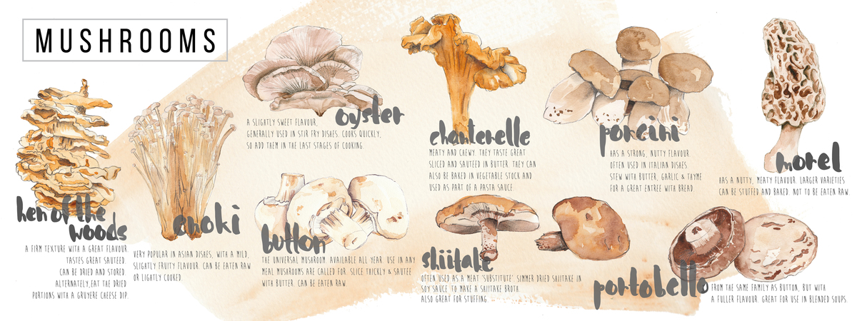 Mushroom Guide by Sara Brenton