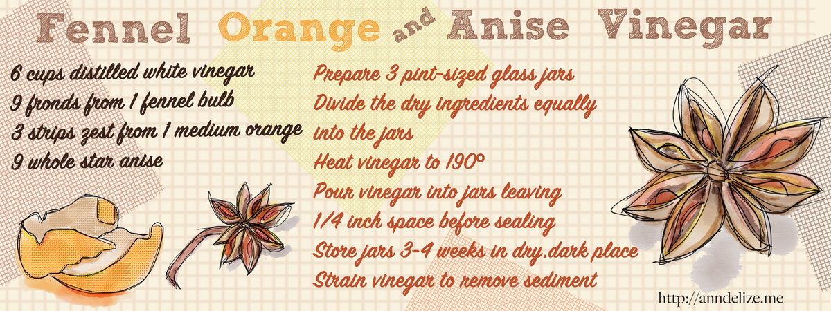 Fennel, Orange & Anise Vinegar by Anndelize Graf