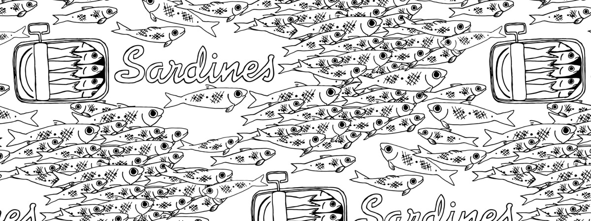 Sardines by Megan Carroll