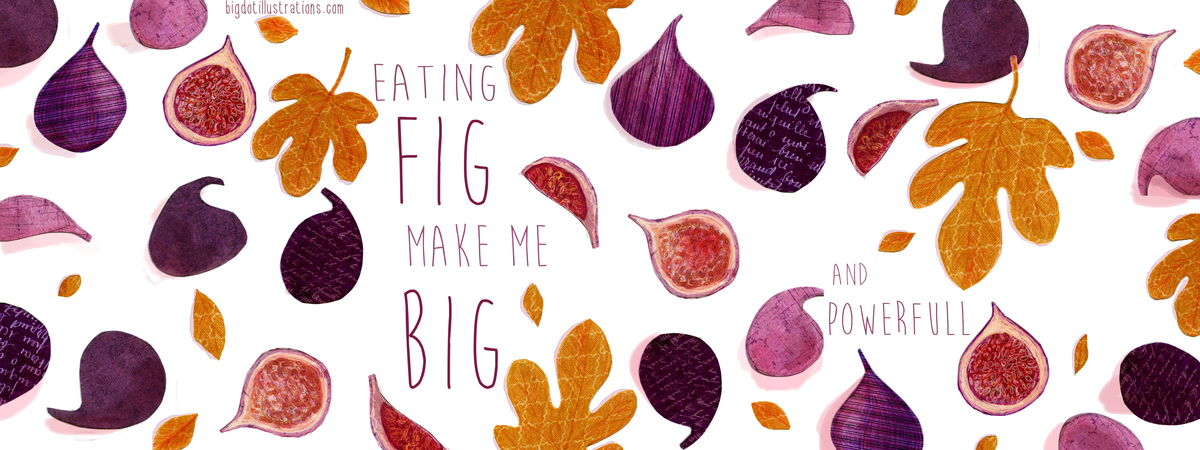 Delicious figs by Bigdotillustrations
