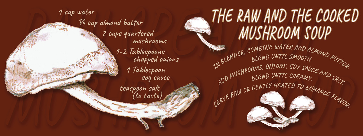 The Raw and the Cooked Cream of Mushroom Soup by Rikki Asher