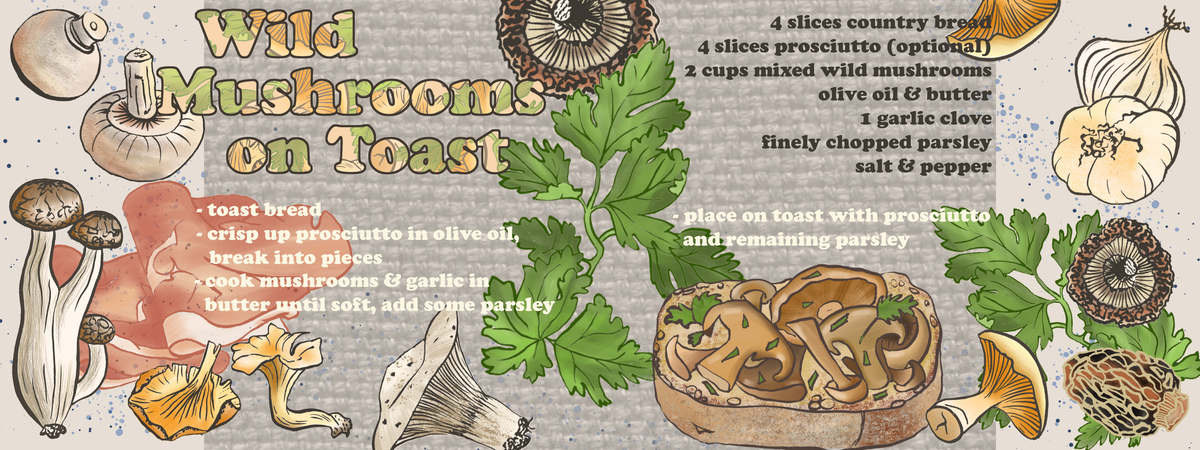 Wild Mushrooms on Toast by Cécile