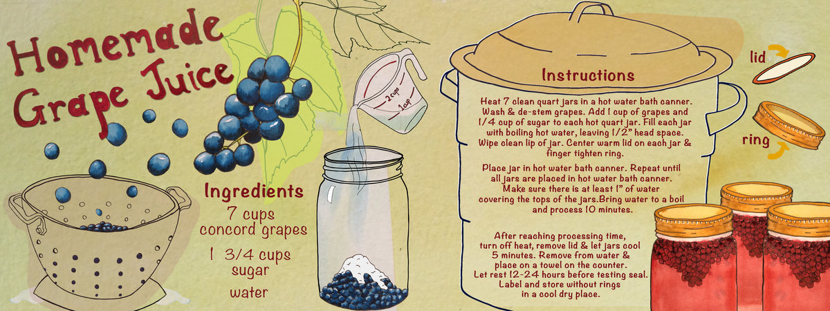 Homemade Grape Juice by Rebecca Potter Gerendasy