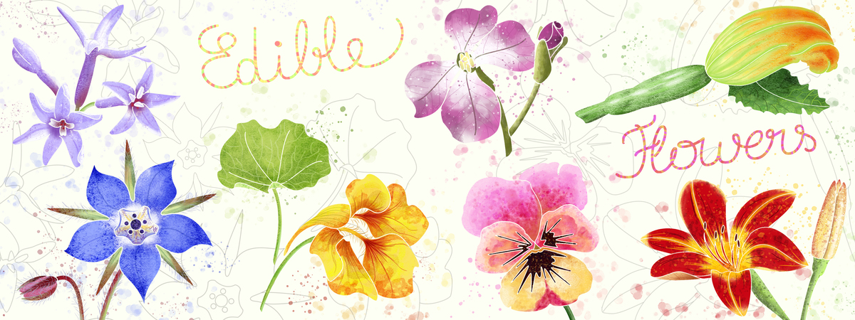 Edible Flowers by Cécile