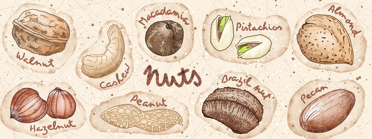 Nuts! by Cécile