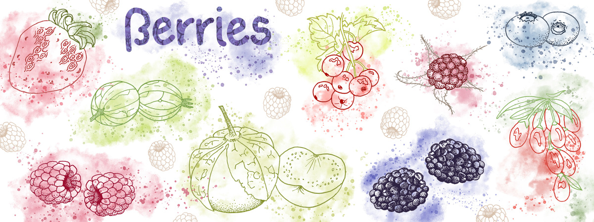 Fresh Berry Feast by Cécile