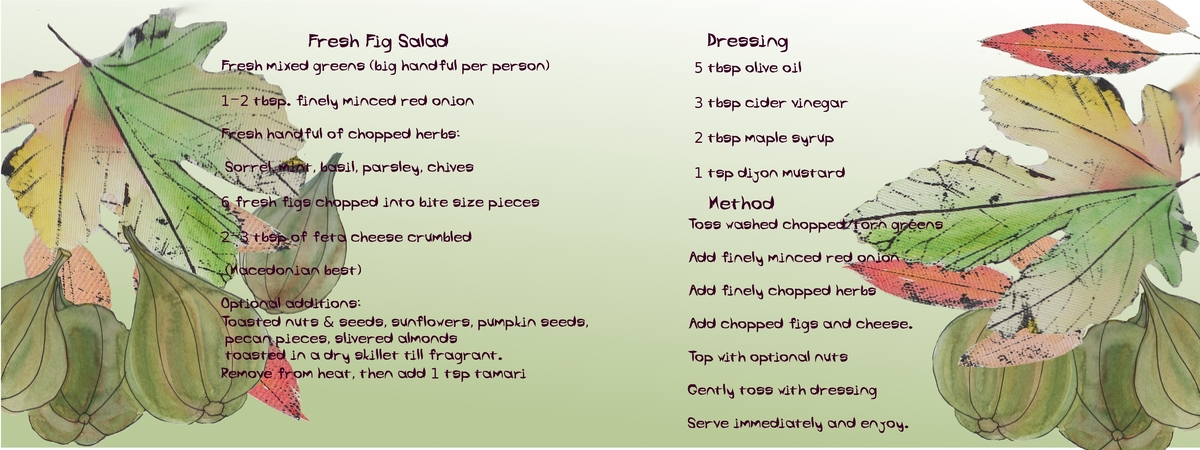 Fresh Fig Salad by Catharine Catharine