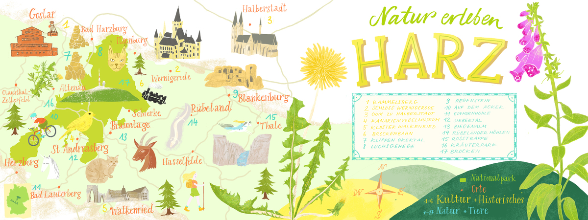 Harz Mountains, Germany by Julia Bausenhardt