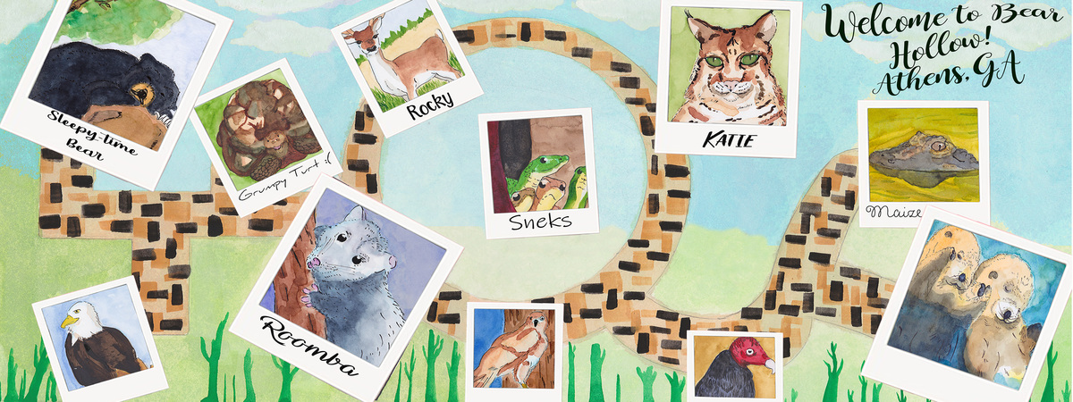 Welcome to Bear Hollow Zoo in Athens, Georgia by Pandamaroo draws Bear hollow tdat