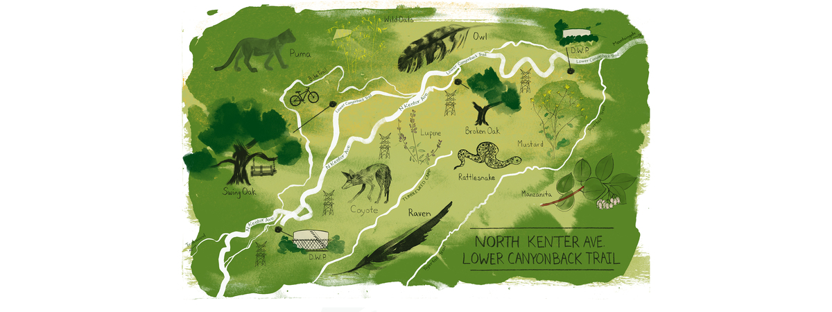 The North Kenter Ave. / Lower Canyonback Trail in Los Angeles, California by Erin Kermanikian