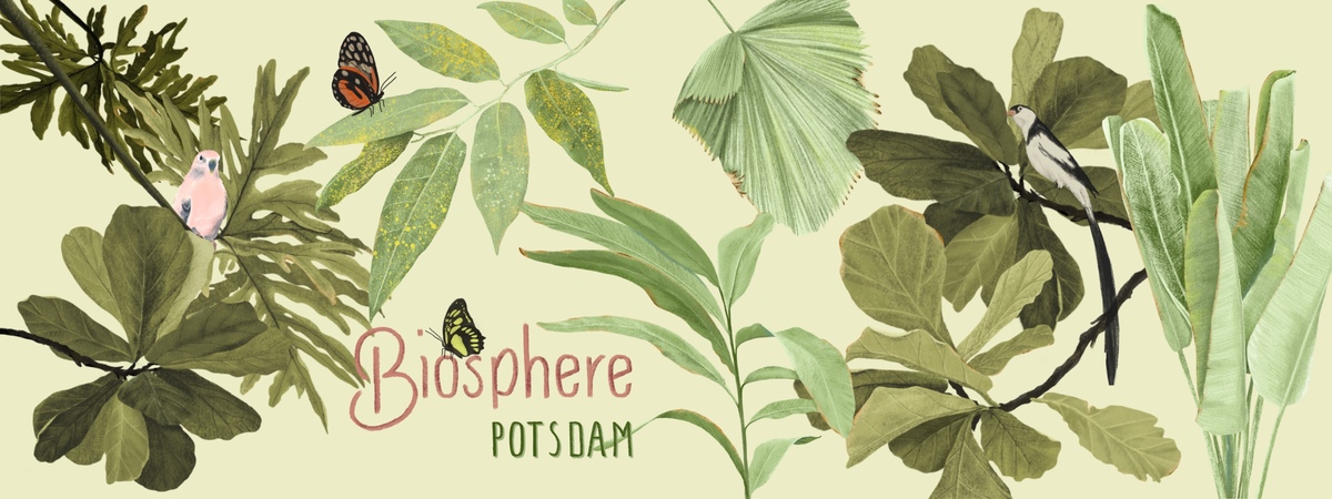 Biosphere Potsdam, Germany by youdesignme