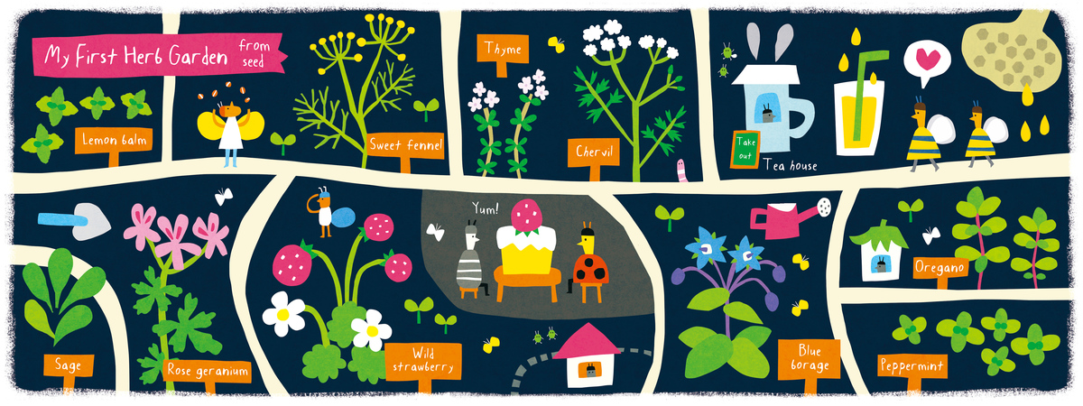 Map of My Herb Garden by AW Illustrations