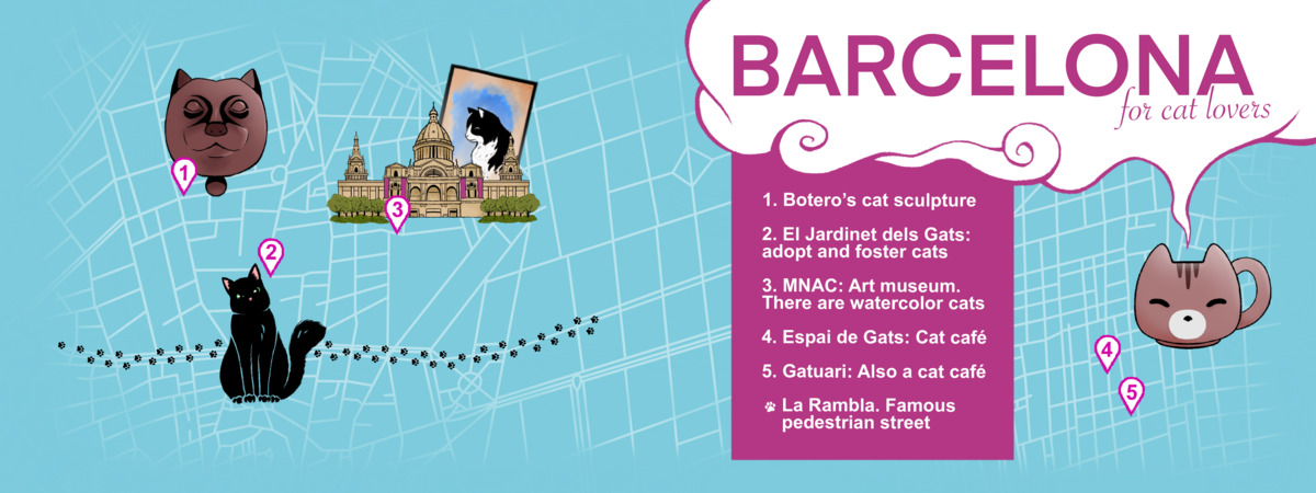 Barcelona for cat lovers by SureTina