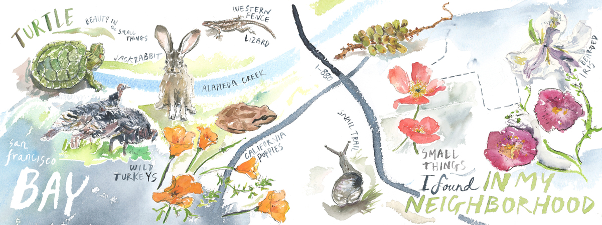 Mapping This Moment: Small Things I Found in My Neighborhood by fionamillerart